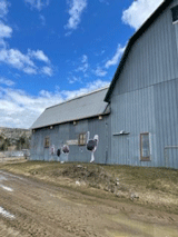 Centre de l'Émeu de Charlevoix Centre de l'Émeu de Charlevoix