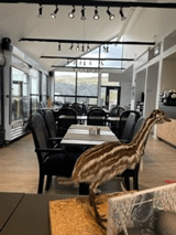 Centre de l'Émeu de Charlevoix Centre de l'Émeu de Charlevoix