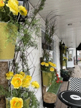 Smith Café Smith Café